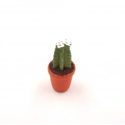 Vaso con cactus-pianta grassa 023