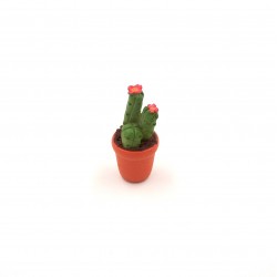 Vaso con cactus-pianta grassa 024